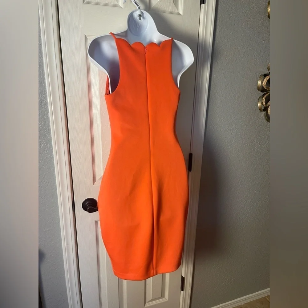Guess Orange Bodycon Dress With Scalloped Neckline Size XS